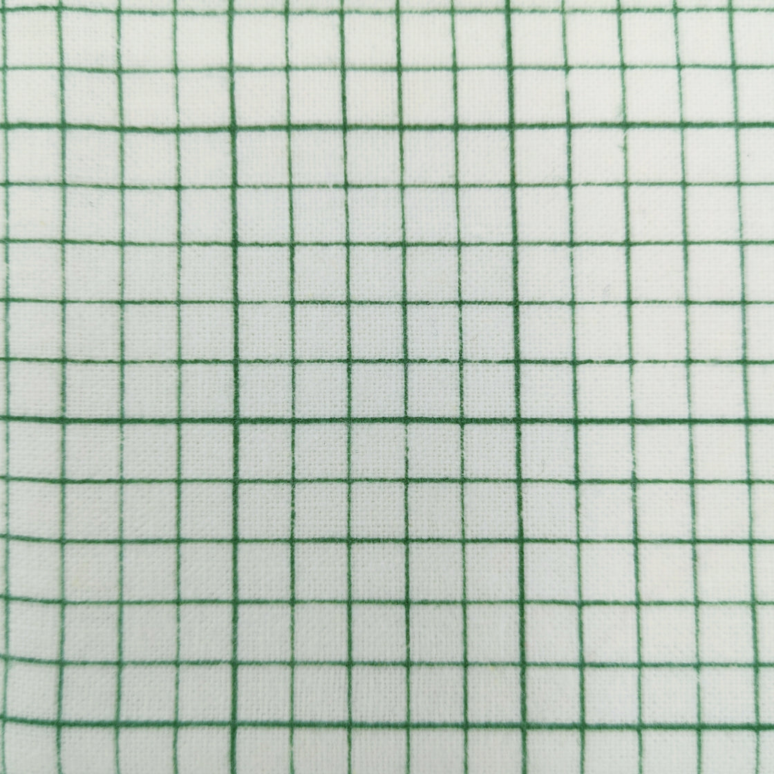 Graph Paper Green Pouch
